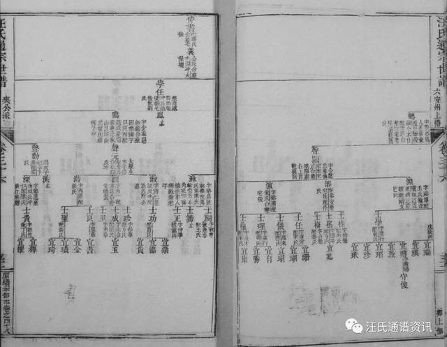 芬芳人间指什么生肖 车水马龙是什么生肖插图5