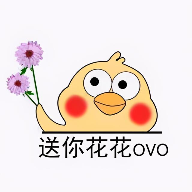 妈妈过生日儿子送什么花,送母亲生日鲜花送什么花