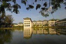 新加坡华人占多少，新加坡有多少是华人（新加坡华人占70%）