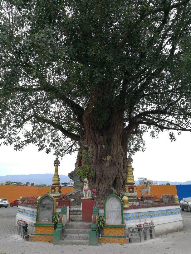 勐巴娜西珍奇园，一个美丽的地方云南德宏芒市（到芒市必玩的一个地方）