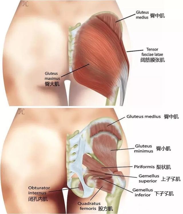 22歲就已經是健身教練，大長腿配蜜桃臀太完美，3招get同款 街拍正妹 第7张