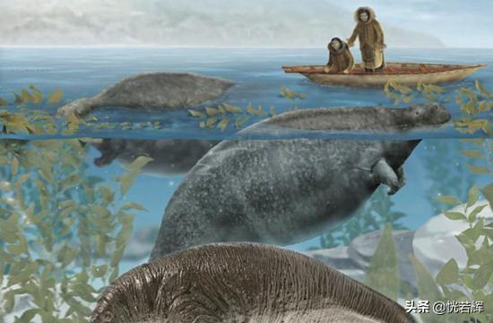 世界最大的淡水哺乳动物，这些动物有一个共同点