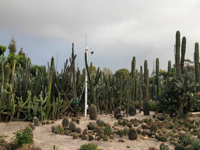 厦门岛内最大公园，厦门岛内6大公园