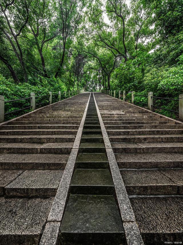 上海风景区旅游景点排行榜前十名，上海的这个旅游度假区