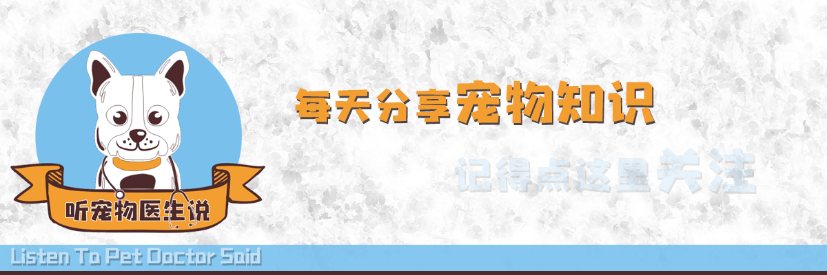 狗狗肛門腺破潰別著急抹藥，清理傷口才是首先要做的 萌趣萌寵 第1张