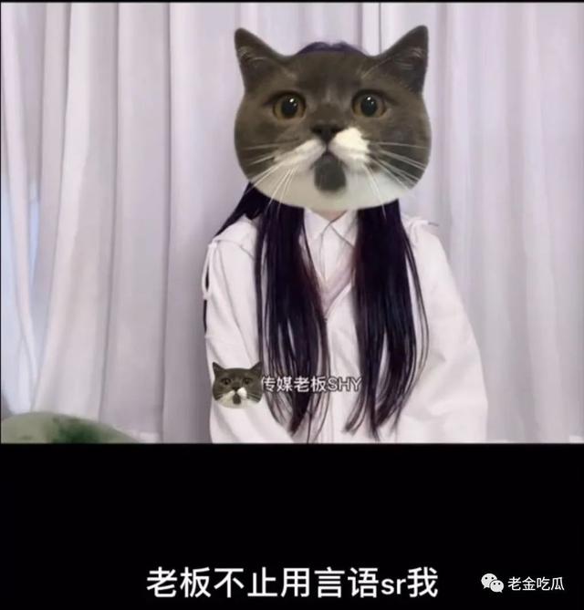 小慧君和沈辞亲吻，网红小慧君时隔两年终于道歉