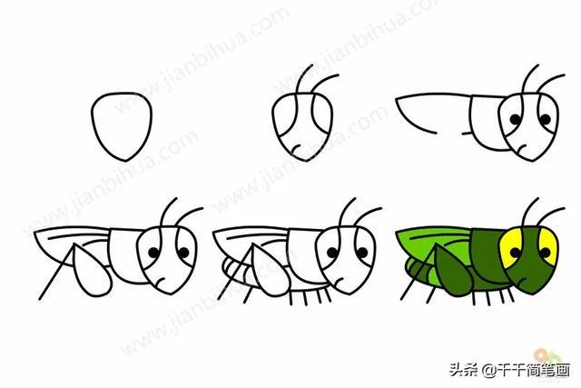 三岁儿童最简单的画 1一3岁简笔画图片大全