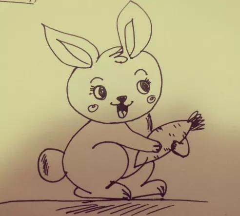 怎么画小兔子简单又漂亮,100种食物简笔画 步骤