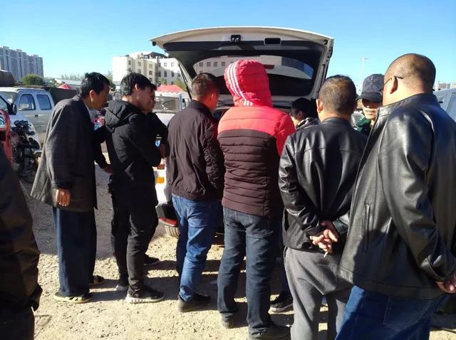 宠物巴哥犬市场价格多少，商贩狗市出售纯种巴哥幼犬