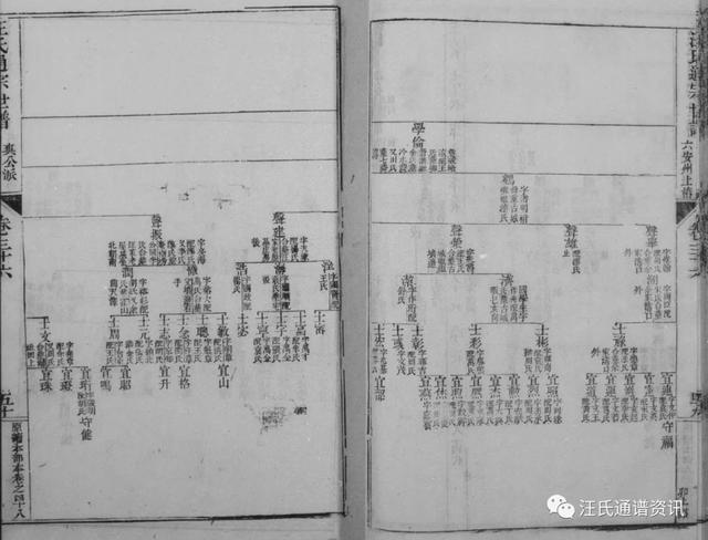 芬芳人间指什么生肖 车水马龙是什么生肖插图4