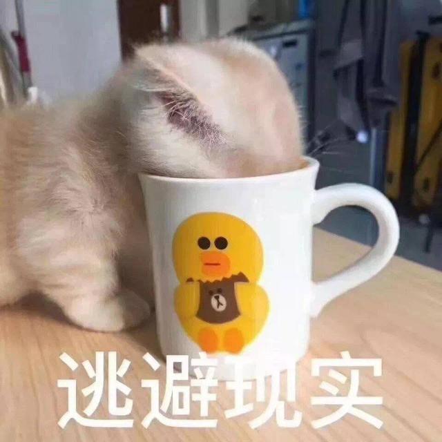 2019最后一个节，双旦送礼物怎么办？最高颜值的跨年礼物就选它了 送女朋友礼