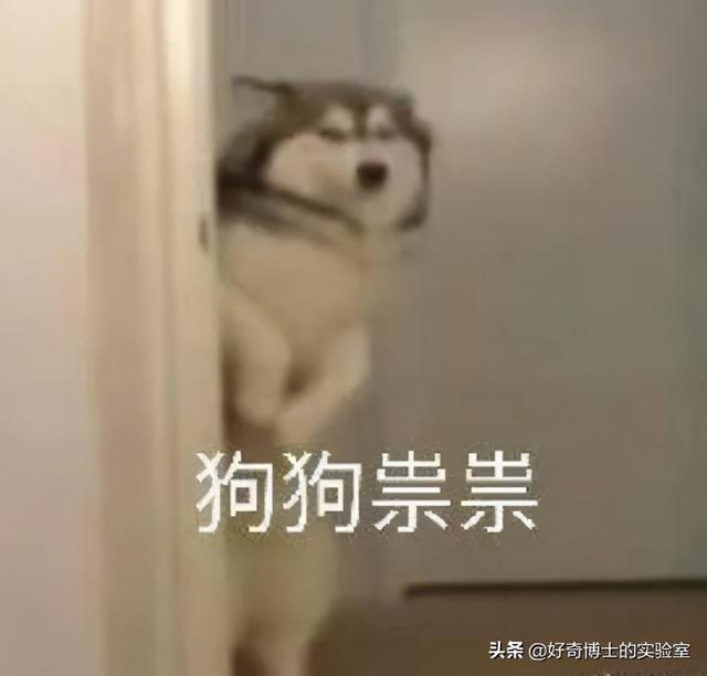 11个奇奇怪怪的微信隐藏玩法（含撩妹教程）