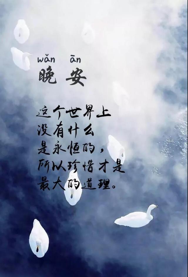 晚安心语181121：我们再会之前，愿世界将你捧在手心