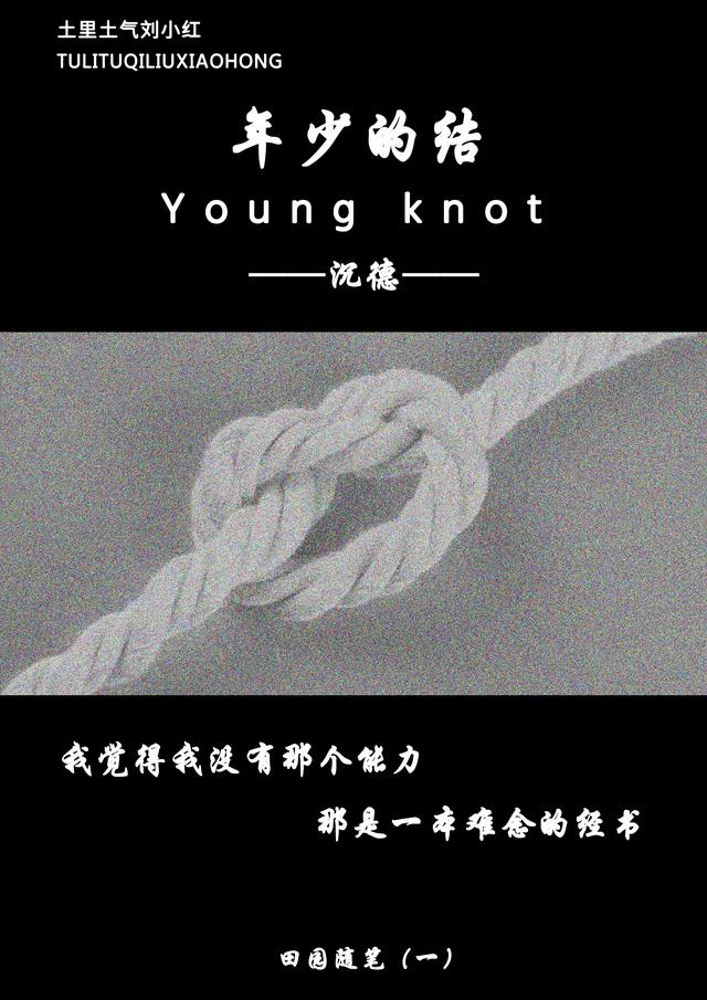 The knot essay 08 picture