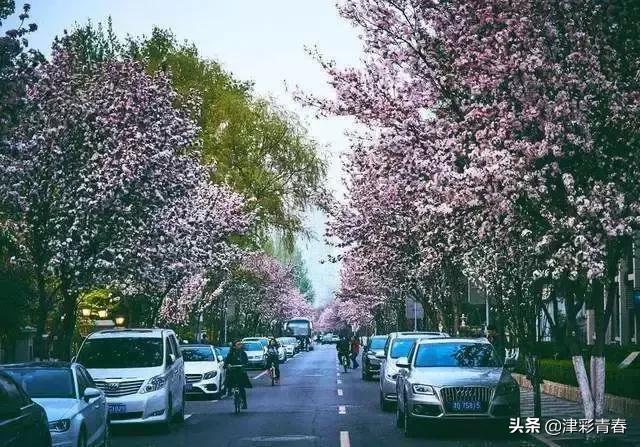 天津特色文化一日游，独家天津旅游手绘攻略新鲜出炉