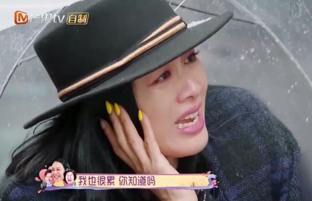 50歲鍾麗緹三婚二離，為小12歲老公拼四胎，為了追愛真勇敢 娛樂八卦吃瓜 第10张