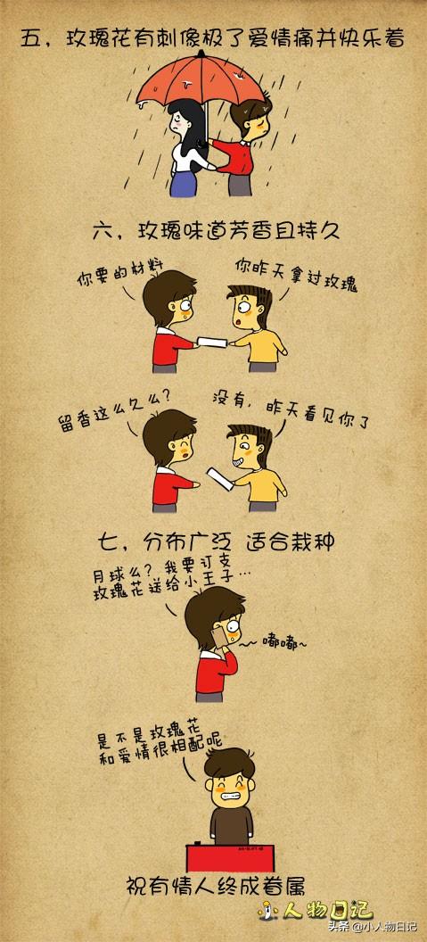 情人节送什么礼物好那么多象征爱情的花，为什么人们更钟情于玫瑰花？