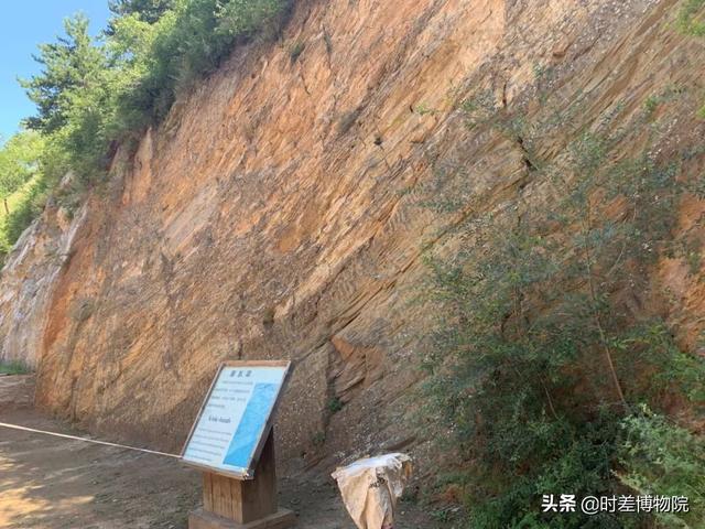 最大的佛光寺在哪里，冬天探访郑州市区唯一常驻比丘尼的佛光寺