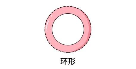 女人胸部长毛毛，有没有问题？15条女性生理知识，男女都该知道 七夕送什么礼
