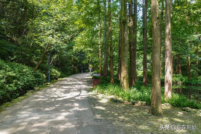 杭州冷门爬山路线，杭州登山路线08最好在这里