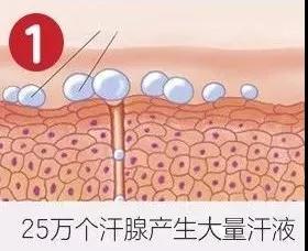 梦见去世的同事 梦见自己秃头插图4