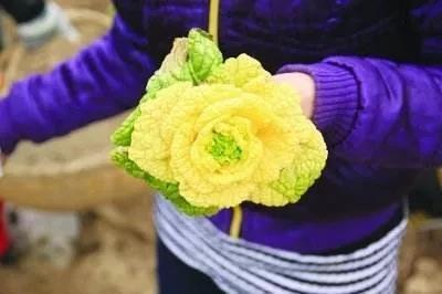 情人节送媳妇什么礼物玫瑰白菜、口红键盘、魔法镜子……这份科技含量极高的