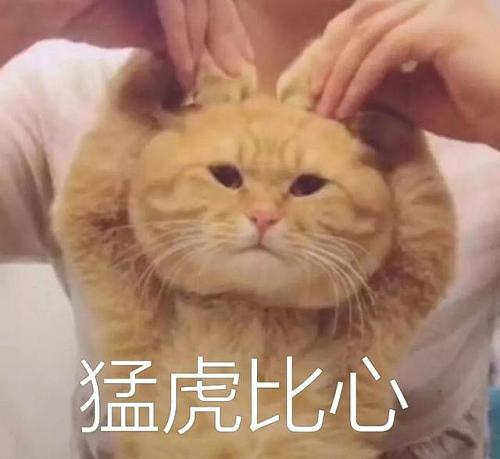 情人节送男友什么礼物来救你了！超全情人节礼物推荐，照着买不出错