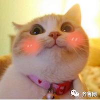 圣诞节送女朋友什么礼物_8