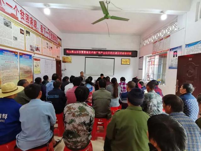 正宗原生态养殖黑山羊，黑山羊生态养殖