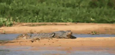 尾随案件频发，为什么有人能脱险有人不能？