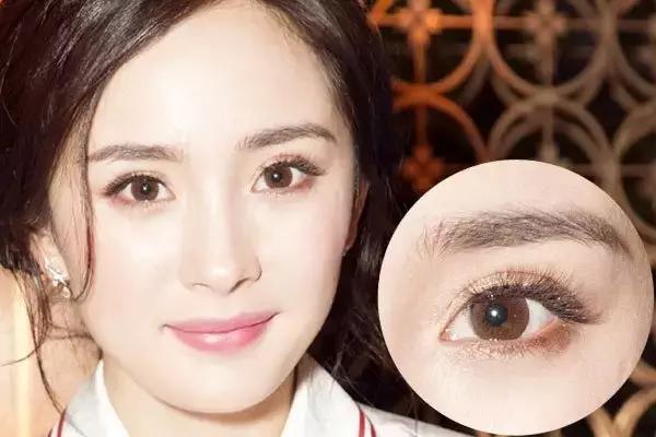 每一个人的脸长相都像明星，你喜欢那个明星的脸形