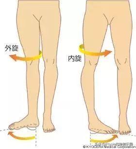 小S跳舞長腿太驚艷，還在被假胯寬拖累？如何高效瘦腿自信穿？ 健身減肥達人 第7张