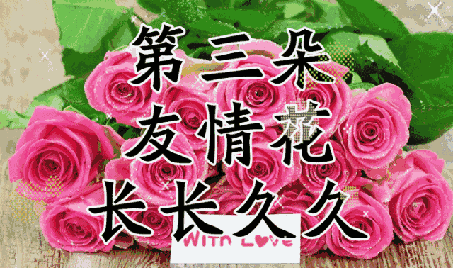 情人节送媳妇什么礼物中国情人节，送你七朵花，愿你好运连连、幸福开花