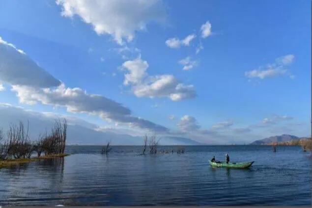 泸沽湖的海藻花几月份去最好，夏日云南美景可不止一点点