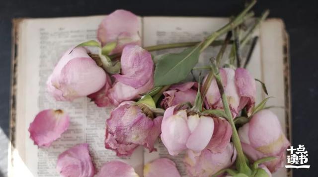 好的关系，不远不近不迎合