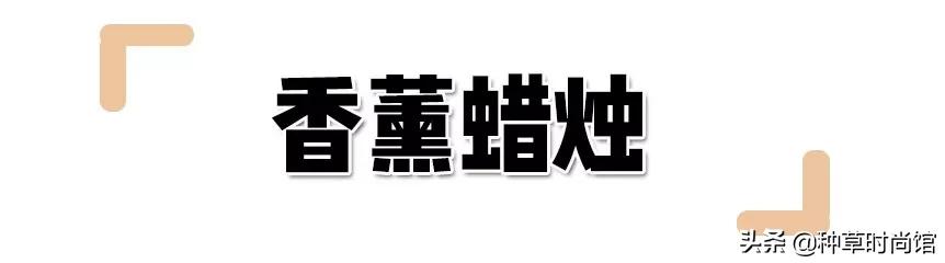8款情人节礼物！太太太太甜了 女朋友过生日送什么礼物好