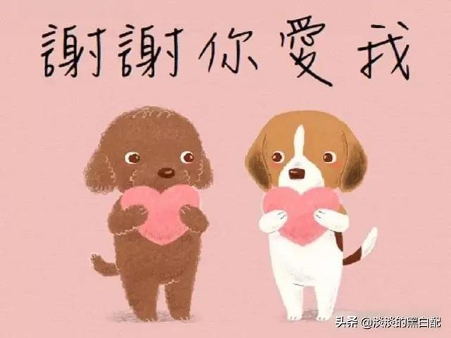 去女朋友家带什么礼物_15