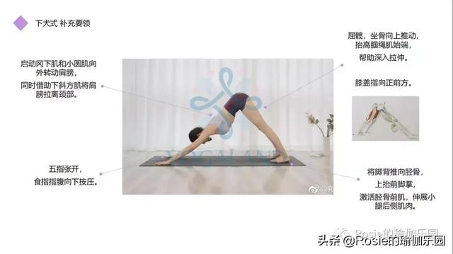 聽說練了拜日式A的你，已經瑜伽入門？如果還不明白，看這里！ 健身減肥達人 第21张