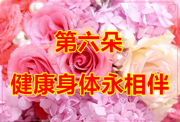 情人节送男朋友什么礼物好今天520情人节，9朵爱的玫瑰送给在乎的你，愿你开