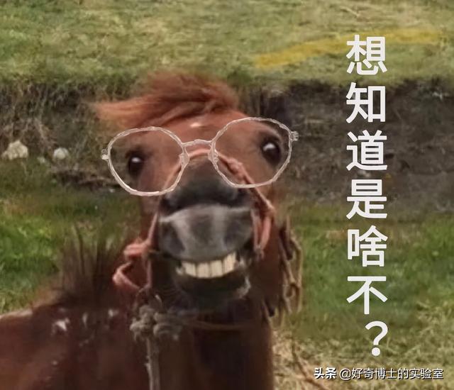 11个奇奇怪怪的微信隐藏玩法（含撩妹教程）