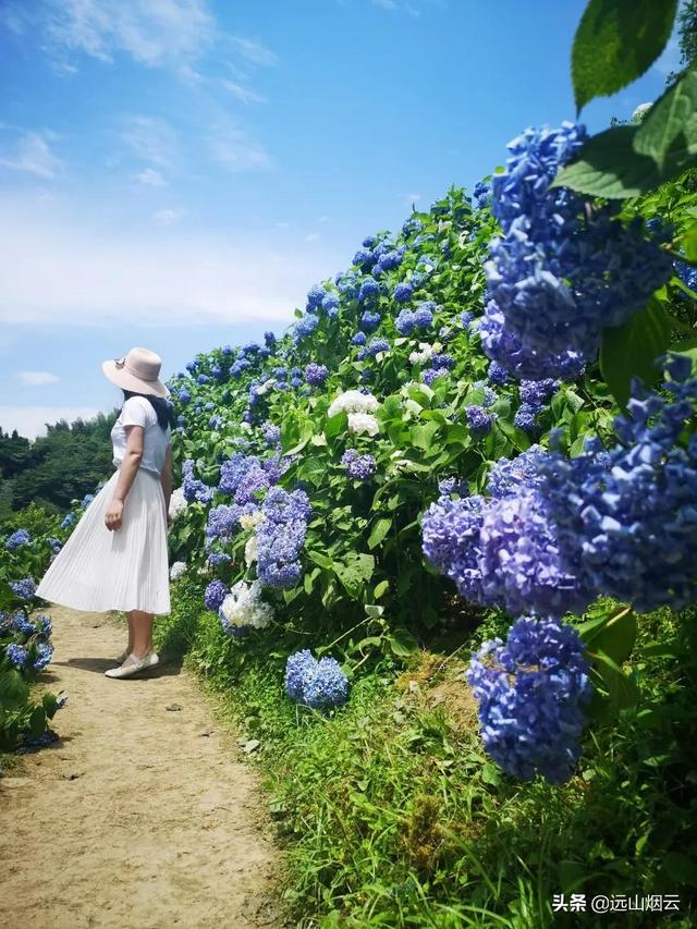 自拍杆的使用方法图解（手把手教你使用自拍杆）