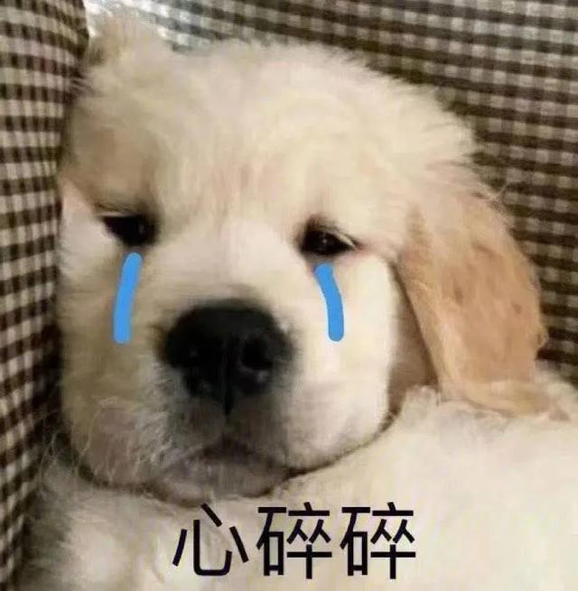 这胸？这腰？收到异地女友禁欲系自拍…突然没有了世俗的欲望 七夕送女朋友