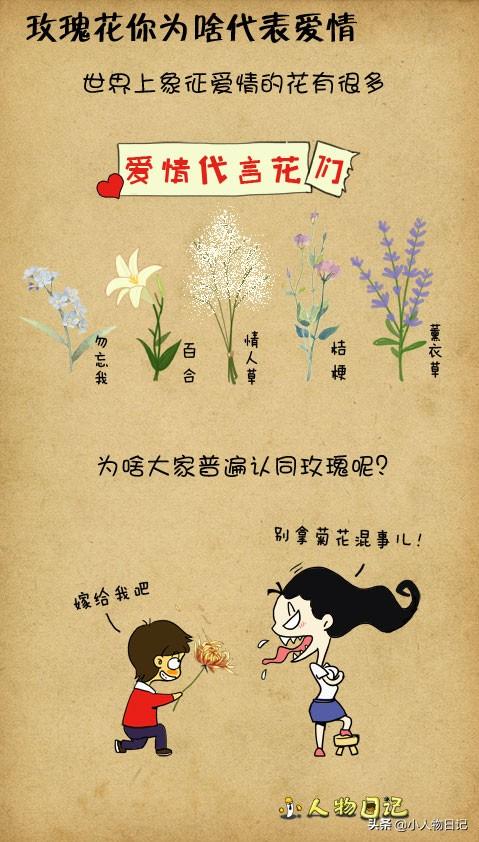 情人节送男友什么礼物世上的漂亮花儿这么多，为什么偏偏玫瑰花代表爱情？