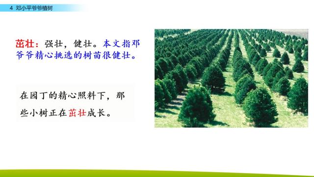 引人注目的拼音 吸引的拼音