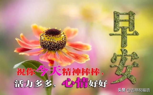 周二清晨微信群发早上好温馨问候语句，早晨最美早安祝福短信句子