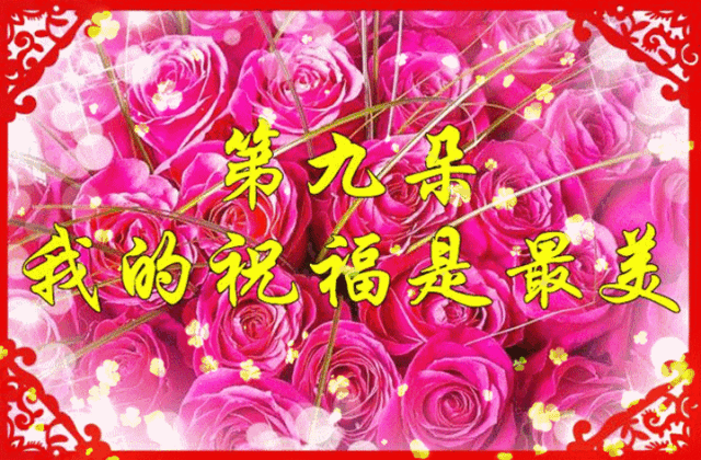 情人节送玫瑰花的含义520，我爱你！情人节送你最美的玫瑰花，祝你幸福美满