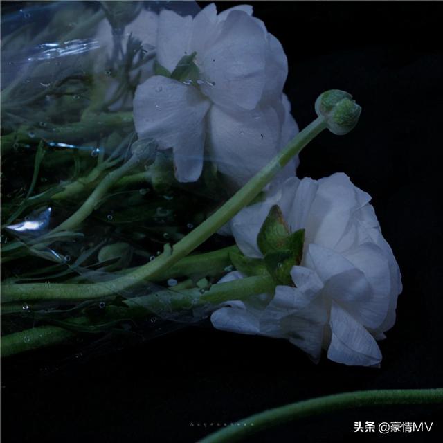 女朋友备注个性有创意（给女友有内涵的备注）