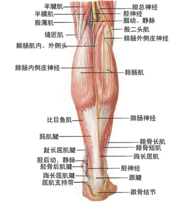 網紅式審美被噴上熱搜：這是自殘，不是性感 街拍正妹 第2张