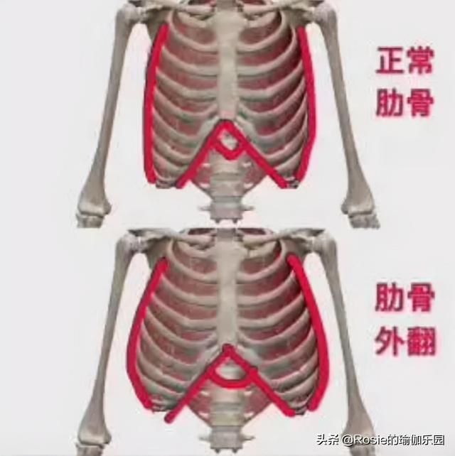 很瘦有肋骨外翻？堅持這4步纖腰平肋骨，解鎖金晨性感身材 健身減肥達人 第9张