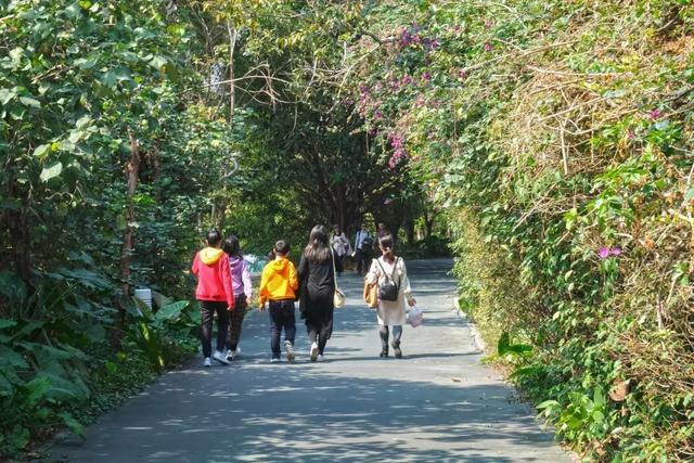 深圳世界之窗好玩吗，深圳世界之窗让你一天游遍全世界